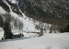 IMG 0309