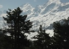 IMG 0325