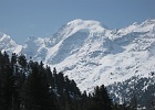 IMG 0332