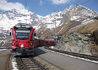 IMG 0333