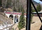 IMG 0345