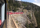 IMG 0347