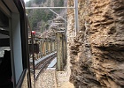 IMG 0350