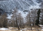 IMG 0386