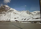 IMG 0547