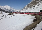IMG 0549