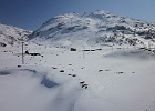 IMG 0552