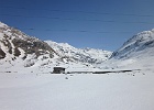 IMG 0554
