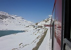 IMG 0566