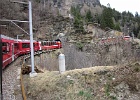 IMG 0585