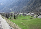 IMG 0600