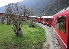IMG 0608