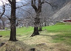 IMG 0610