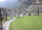 IMG 0611