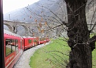 IMG 0619