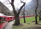 IMG 0620