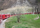 IMG 0621