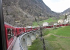 IMG 0623