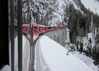 IMG 0639