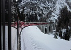 IMG 0640