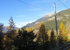 IMG 6173