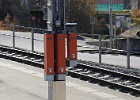IMG 6184