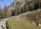 IMG 6195