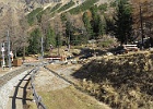 IMG 6196