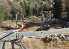 IMG 6197