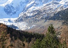 IMG 6206