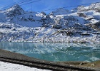 IMG 6239