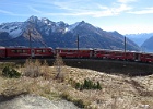 IMG 6265