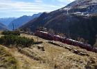 IMG 6287