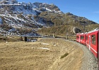 IMG 6311