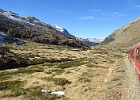 IMG 6317