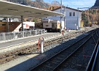IMG 6338