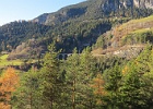 IMG 6394