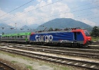 IMG 2336