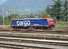 IMG 2341