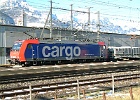 100 1093