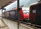IMG 1294