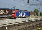 IMG 1485