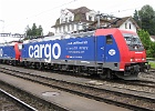 IMG 1858