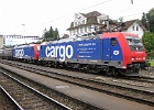 IMG 1859