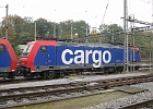 IMG 2822