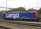 IMG 2824