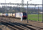 SH104690