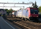 SH104877