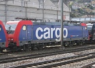 IMG 0019