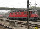 IMG 2826